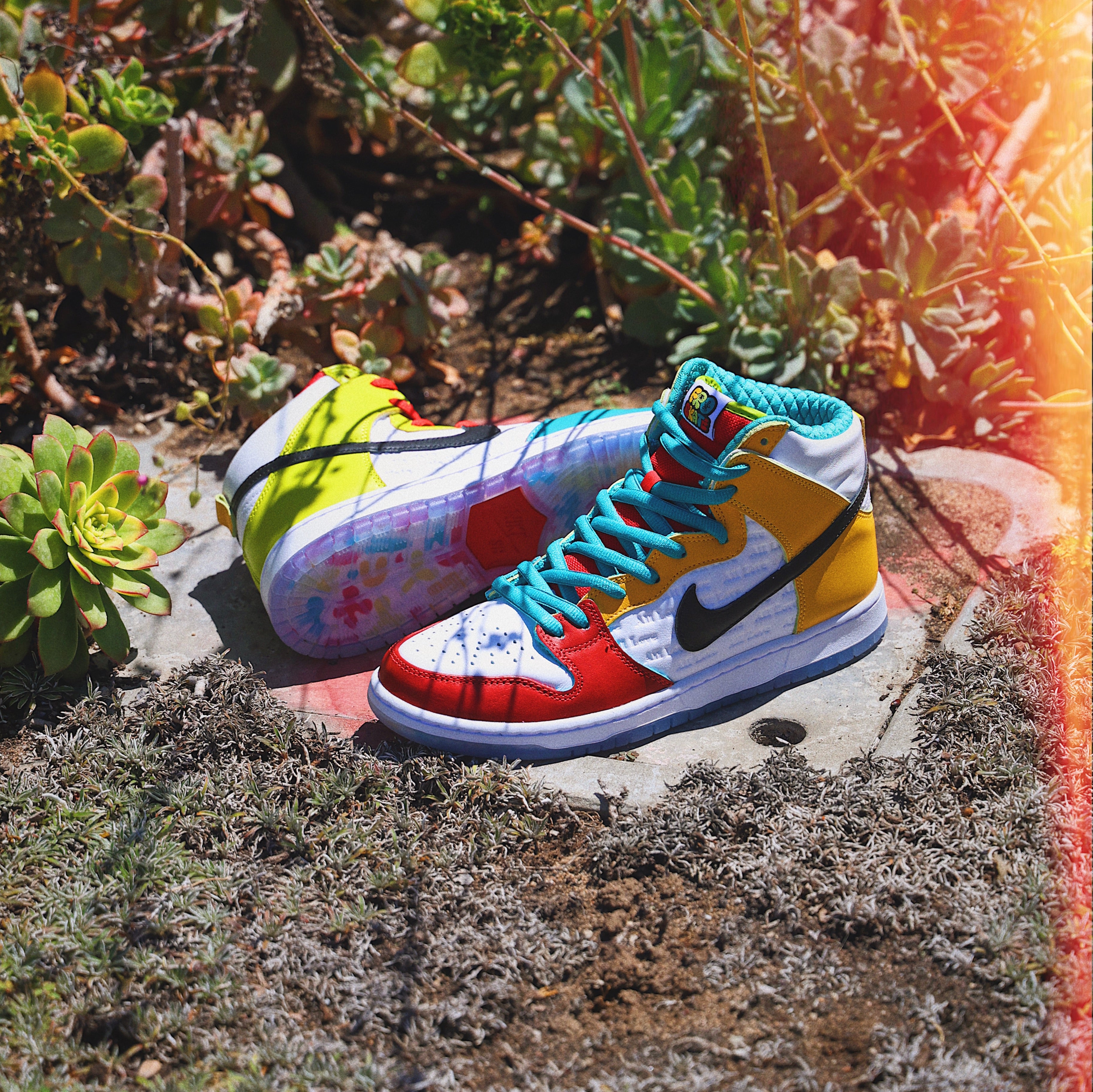 Nike SB: Dunk High Pro QS 