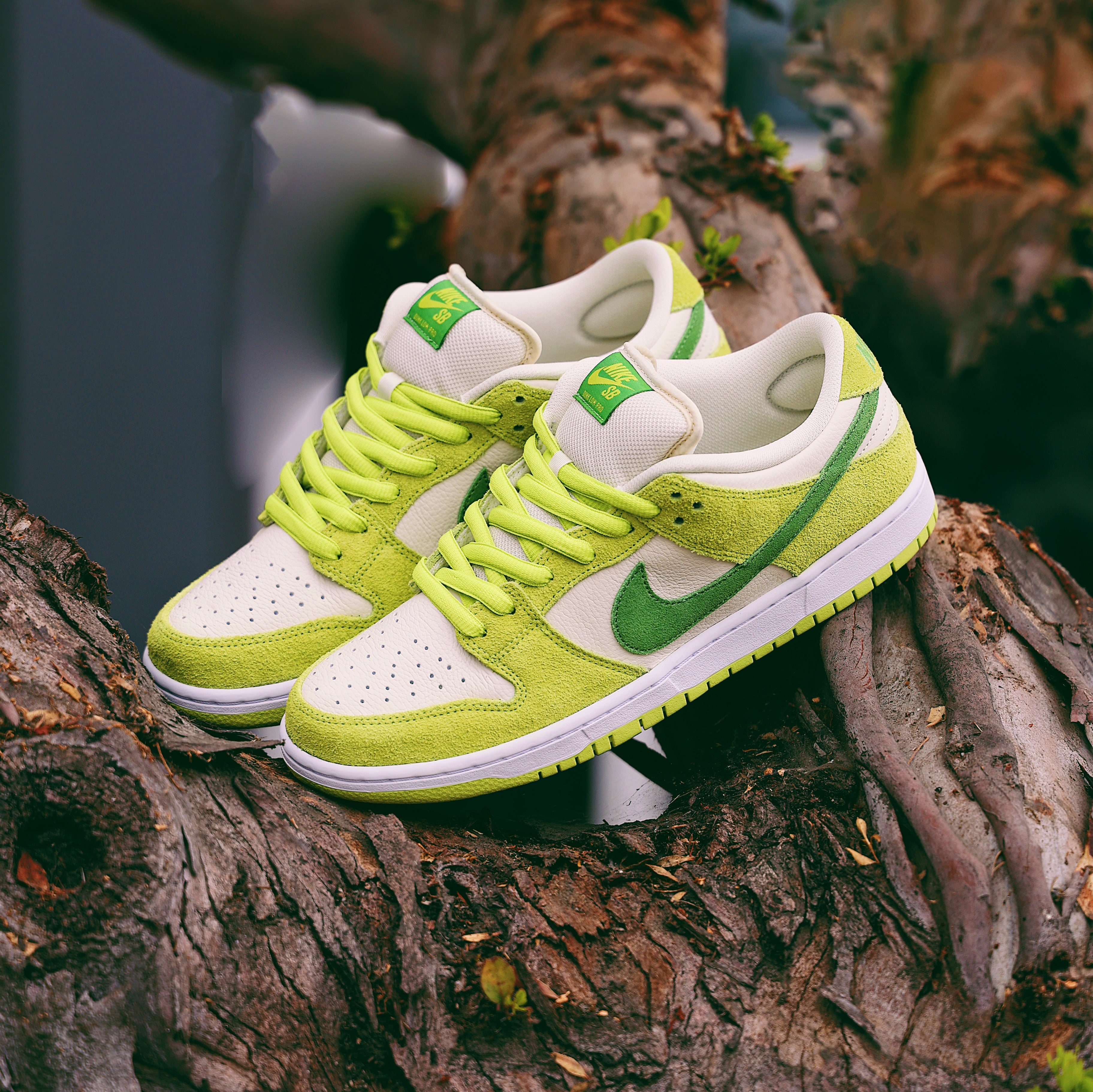 スニーカー Nike Sb Dunk Low Green Apple Nike SB: Dunk Low Pro 