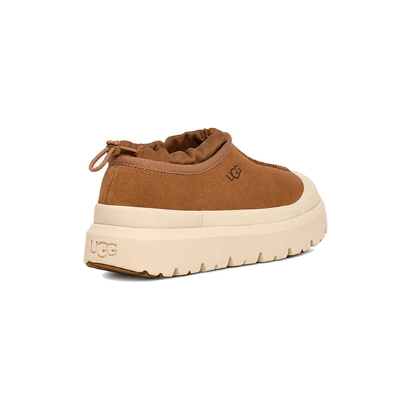 UGG Men's Tasman Weather Hybrid Chestnut/Whitecap