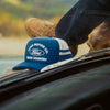 Brixton Ford Built Tough Trucker Hat Ford Blue/Wimbledon White