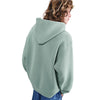 Nike SB Essential Logo Fleece Hoodie Cannon/White